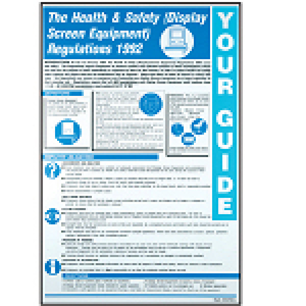 Wallchart The Health & Safety (Display Screen Equipment)